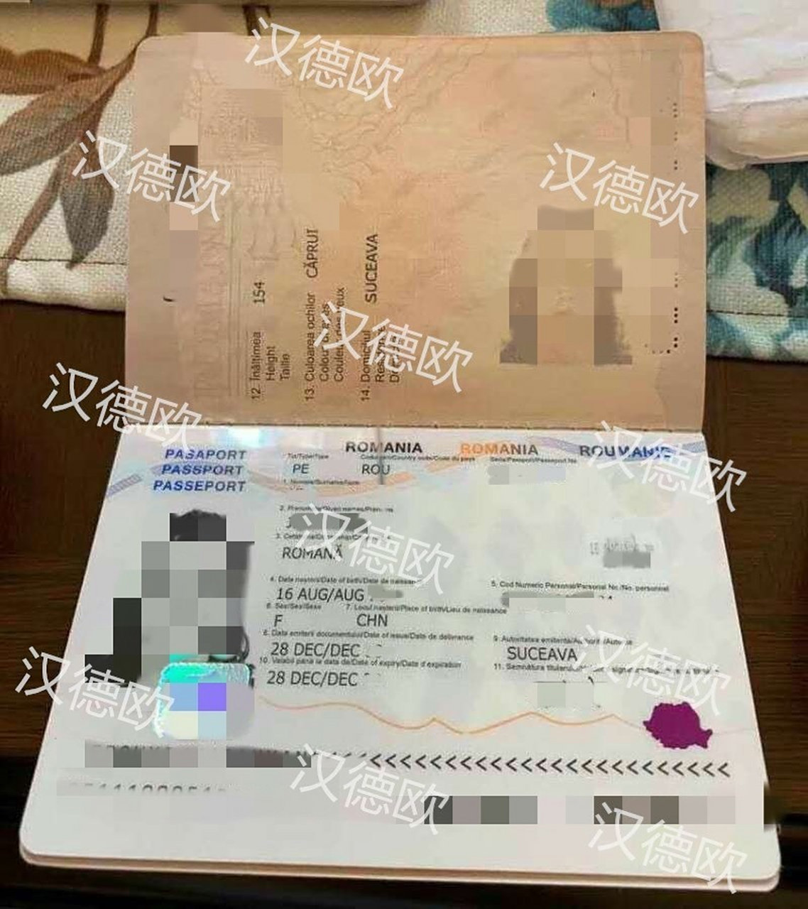 德国战胜罗马尼亚,赢得欧锦赛入场券 德国战胜罗马尼亚,赢得欧锦赛入场券