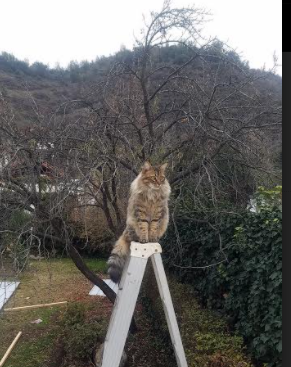 平行宇宙，两场克莱生涯之夜