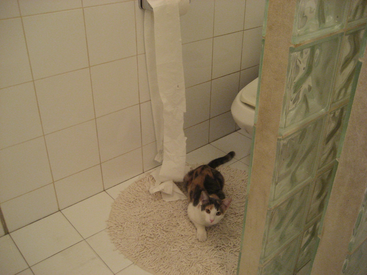 他永远在走表，而时间在等他摆正教科书般的投篮手型