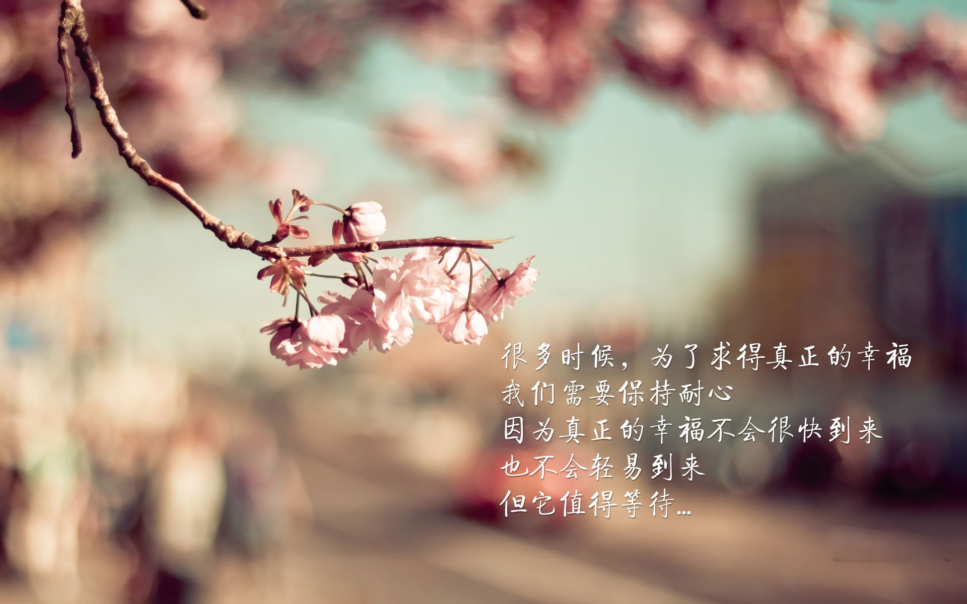 唯一的神迹，2026世界杯F组，梅西的致命一击与门将神勇铸就美国不朽之夜