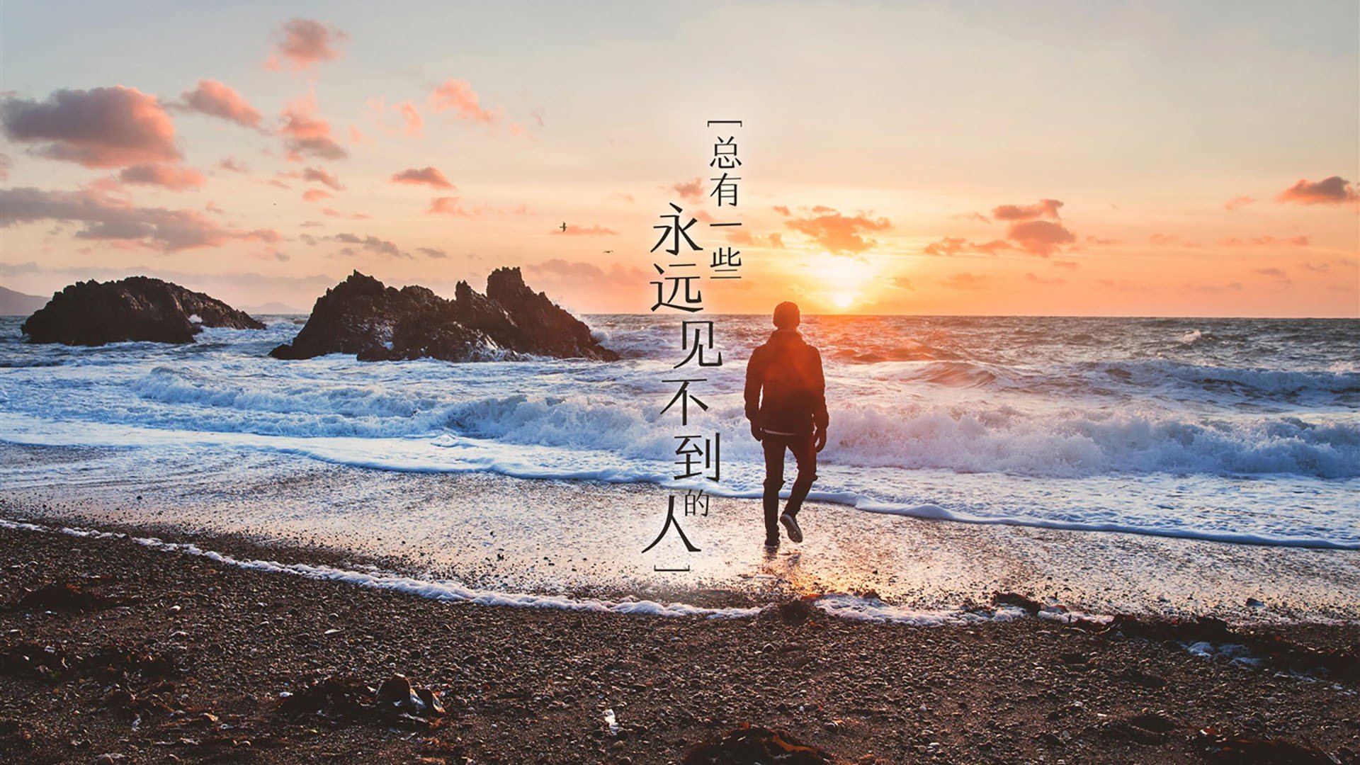 2026世界杯A组首战,厄瓜多尔智取智利,萨卡闪耀全场成唯一焦点